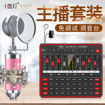 十盞燈  懸掛式 麥克風(fēng) 加補光燈套裝【玫瑰粉】