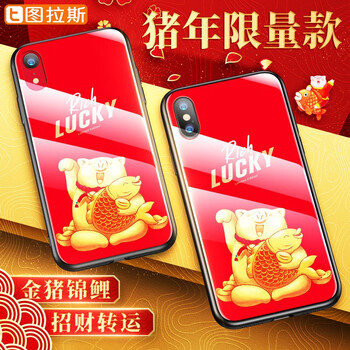 圖拉斯保護(hù)套推薦