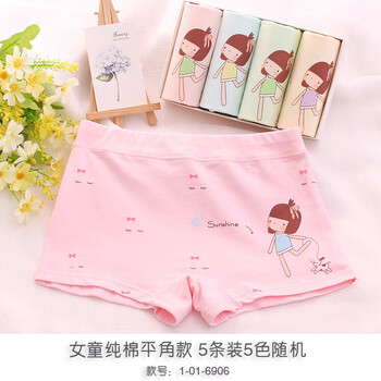 巴布豆女童內褲5條裝
