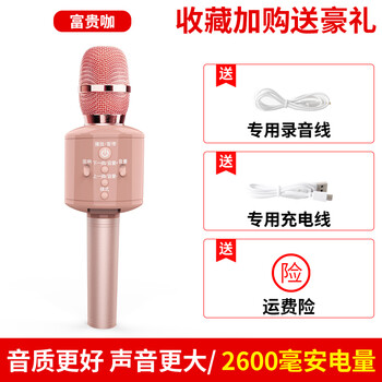 麥克風(fēng)，讓你的耳朵不再枯燥！