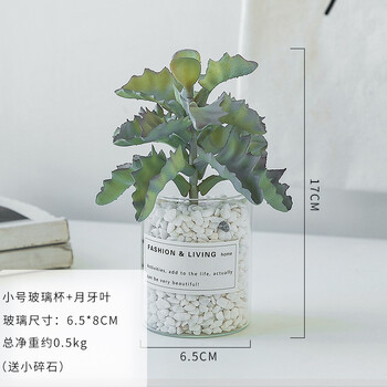 歐式玻璃花瓶，讓你的家四季如春
