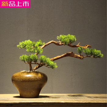 精致花瓶，打造浪漫生活