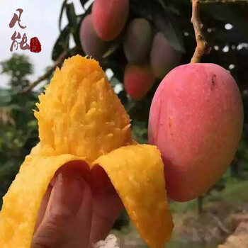 ��ô��,����,����,����,����,��â,��â