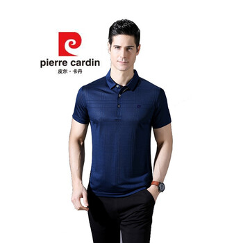 皮爾卡丹（pierrecardin） 短袖 男士T恤 上青78190 
