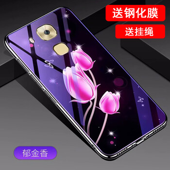 羅璐鷗 華為麥芒5 手機(jī)殼/保護(hù)套