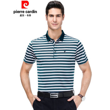 皮爾卡丹（pierrecardin） 長(cháng)袖 男士T恤 905綠色 
