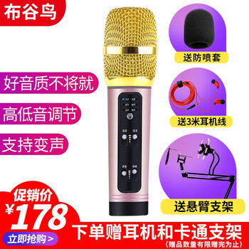 布谷鳥  支撐式 麥克風(fēng) 玫瑰金+懸臂支架