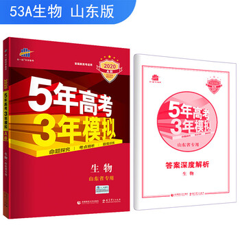 五三2020