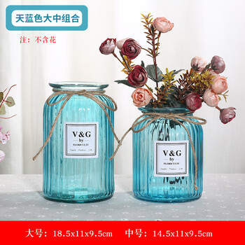 家居創(chuàng)意植物擺件