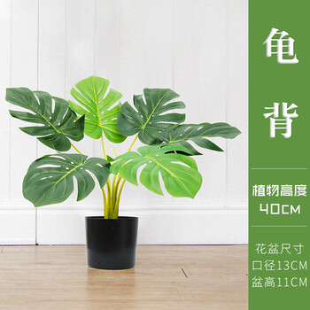 精致歐式花瓶讓你愛上浪漫生活