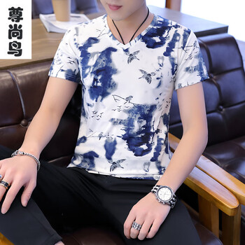 尊尚鳥(niǎo)（ zunshangniao） 短袖 男士T恤 水墨 