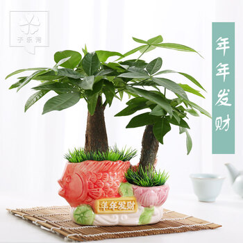 精致客廳擺件，讓你的家煥然一新