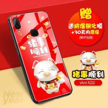 vivox21后玻璃