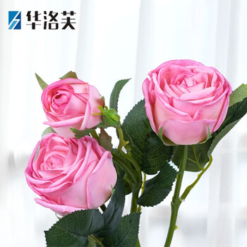 精致香薰，讓你的生活不再單調