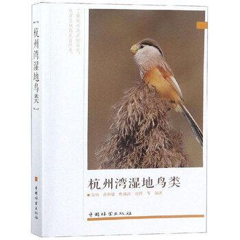 濕地