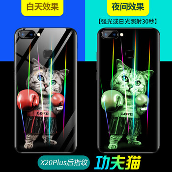 佰仕頓（BAISHIDUN） vivo X9/X9S 手機(jī)殼/保護(hù)套