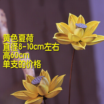 筒紙，讓你的家不再單調！