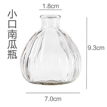 精美玻璃花瓶，讓你的家愛上喝水