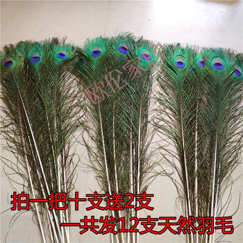 客廳太單調(diào)，精致擺件來(lái)救場(chǎng)