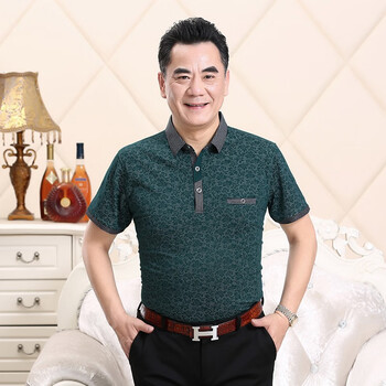 權(quán)威龍（quanweilong） 短袖 男士T恤 D011墨綠色 