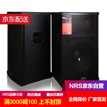 雙15寸音箱一對