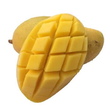ֱ����â��