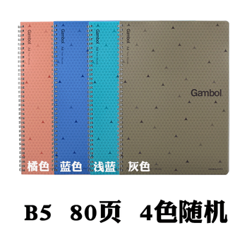 a6雙螺旋pp面本