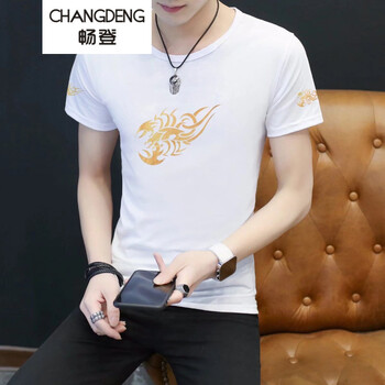 暢登（CHANGDENG） 短袖 男士T恤 火焰白色 