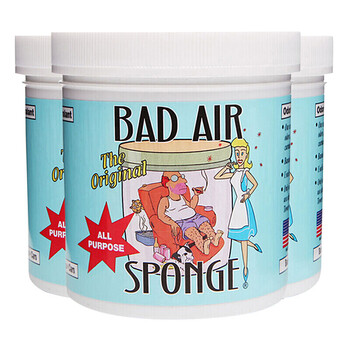 badairsponge,����,badairsponge,����,��ζ,��ô��