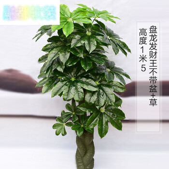 精美落地花瓶，讓你的家煥然一新