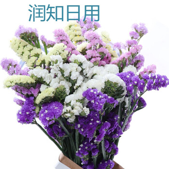 精致花瓶，裝點(diǎn)你的生活藝術(shù)感