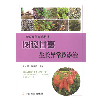 甘薯