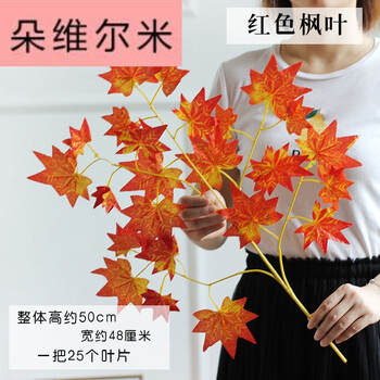 玻璃花瓶，為你的家增添藝術(shù)