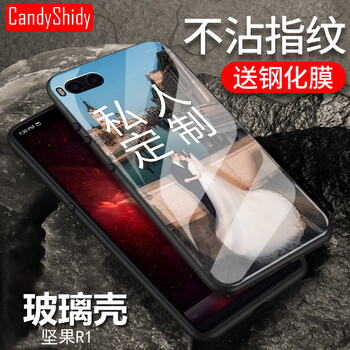 堅果手機鋼化玻璃
