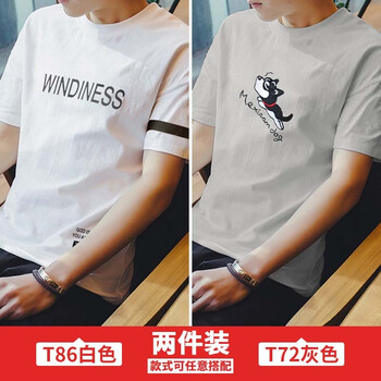 圣洛格（SAINTLGEE） 短袖 男士T恤 T86白色+T72灰色 
