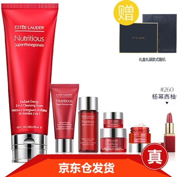 雅詩蘭黛化妝套裝