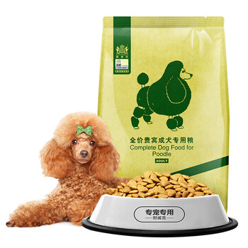 泰迪狗寵物犬