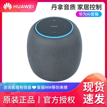 為威音響