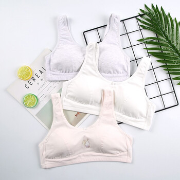 ab內(nèi)衣女童