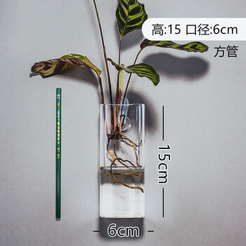 精美玻璃花瓶，讓生活更有韻味