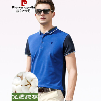 皮爾卡丹（pierrecardin） 短袖 男士T恤 8734寶蘭 