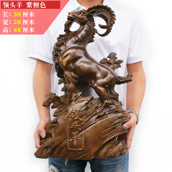 客廳單調(diào)，創(chuàng)意擺件營造溫馨氛圍
