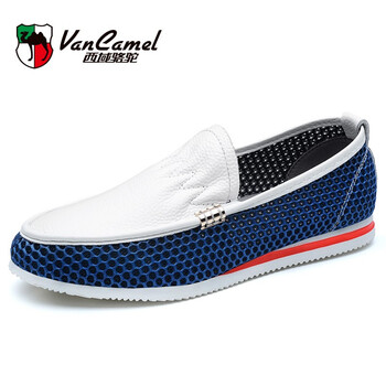 西域駱駝（VANCAMEL）男士白/寶藍 