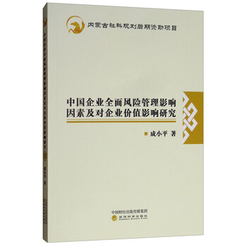 中國企業(yè)