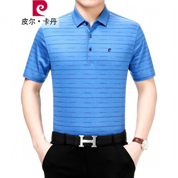 皮爾卡丹（pierrecardin） 短袖 男士T恤 款四蘭色 