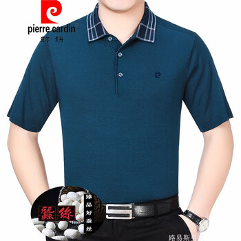 皮爾卡丹（pierrecardin） 短袖 男士T恤 P22174哈青 