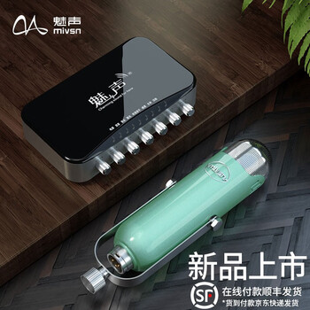 魅聲 T6-V2 懸掛式 麥克風(fēng) 海洋綠