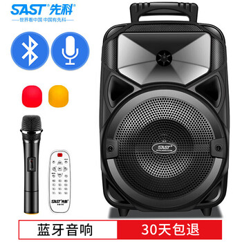 先科（SAST） A57 音箱/音響 A57-8英寸