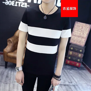 尊尚鳥（zunshangniao） 短袖 男士T恤 H2#黑色 