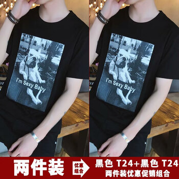 尊尚鳥(niǎo)（ZunshangniaO） 短袖 男士T恤 X24秋千狗#黑 黑 